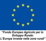 CSA Centro Servizi Aziendali